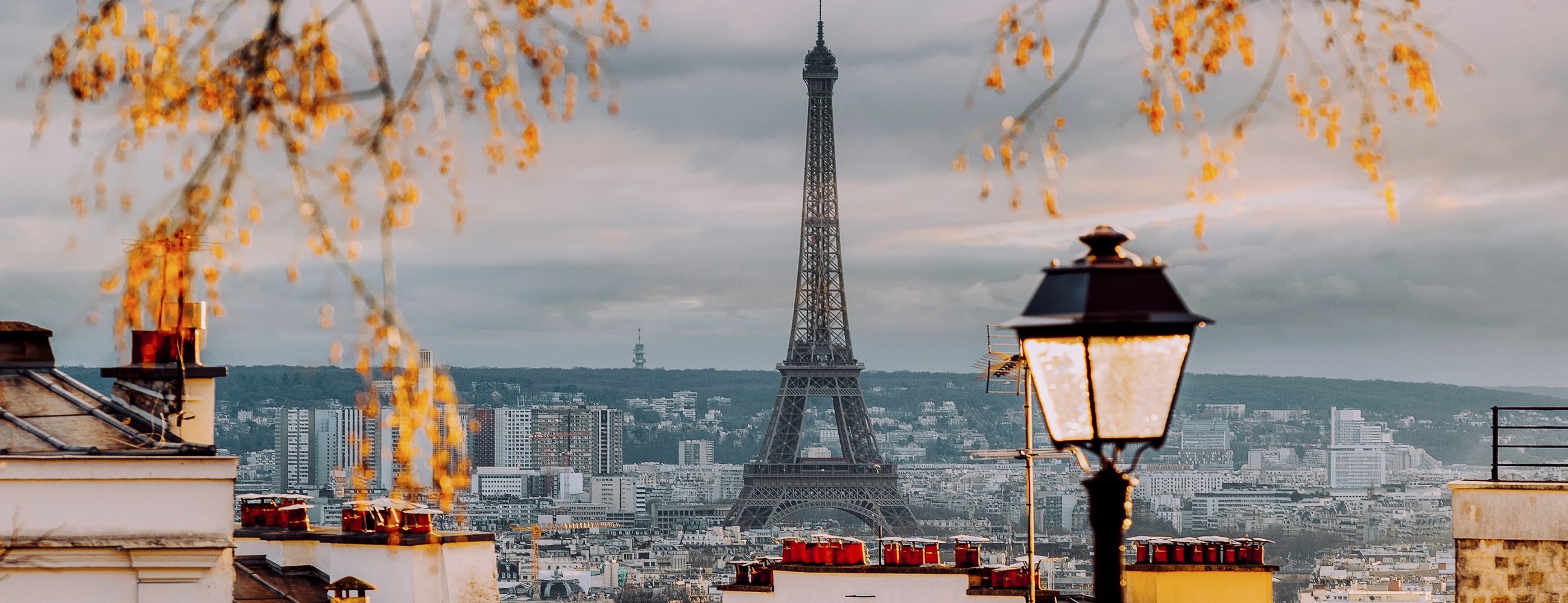 Paris: Biography of a City
