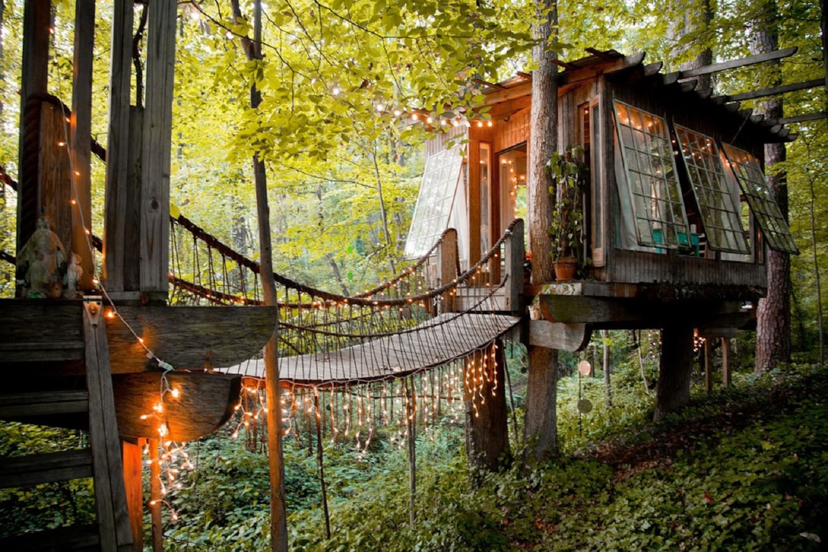 treehouse-vs-penthouse