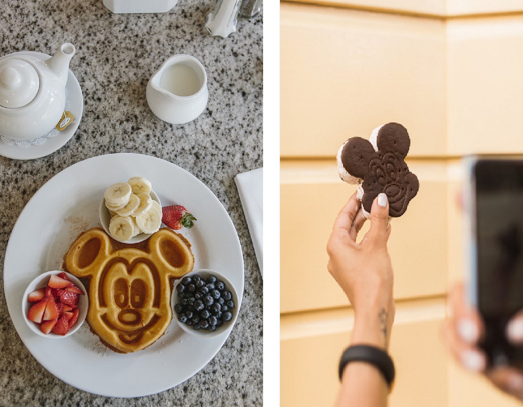 eat-mickey-mouse-blogger