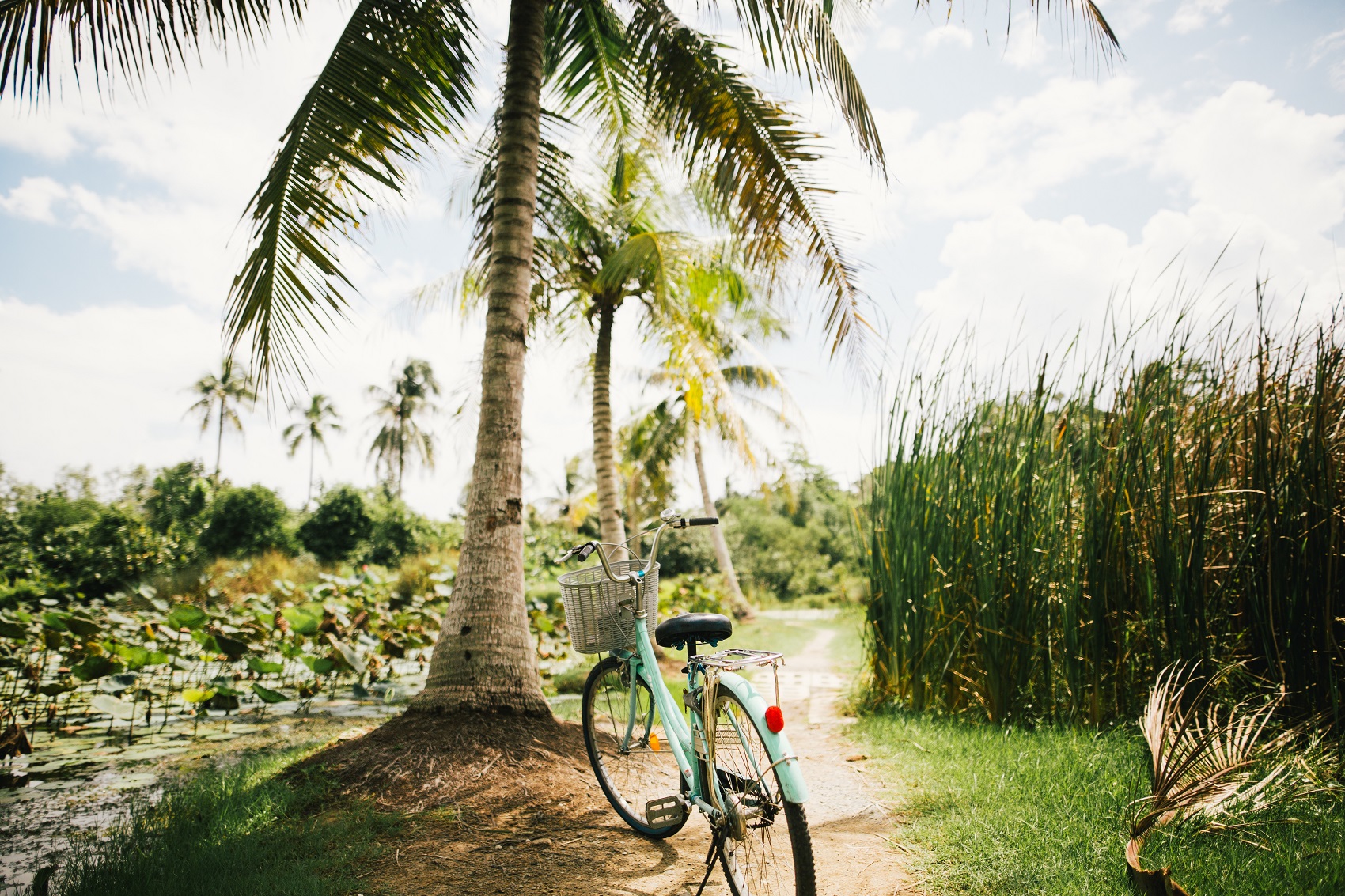 travel-by-bike