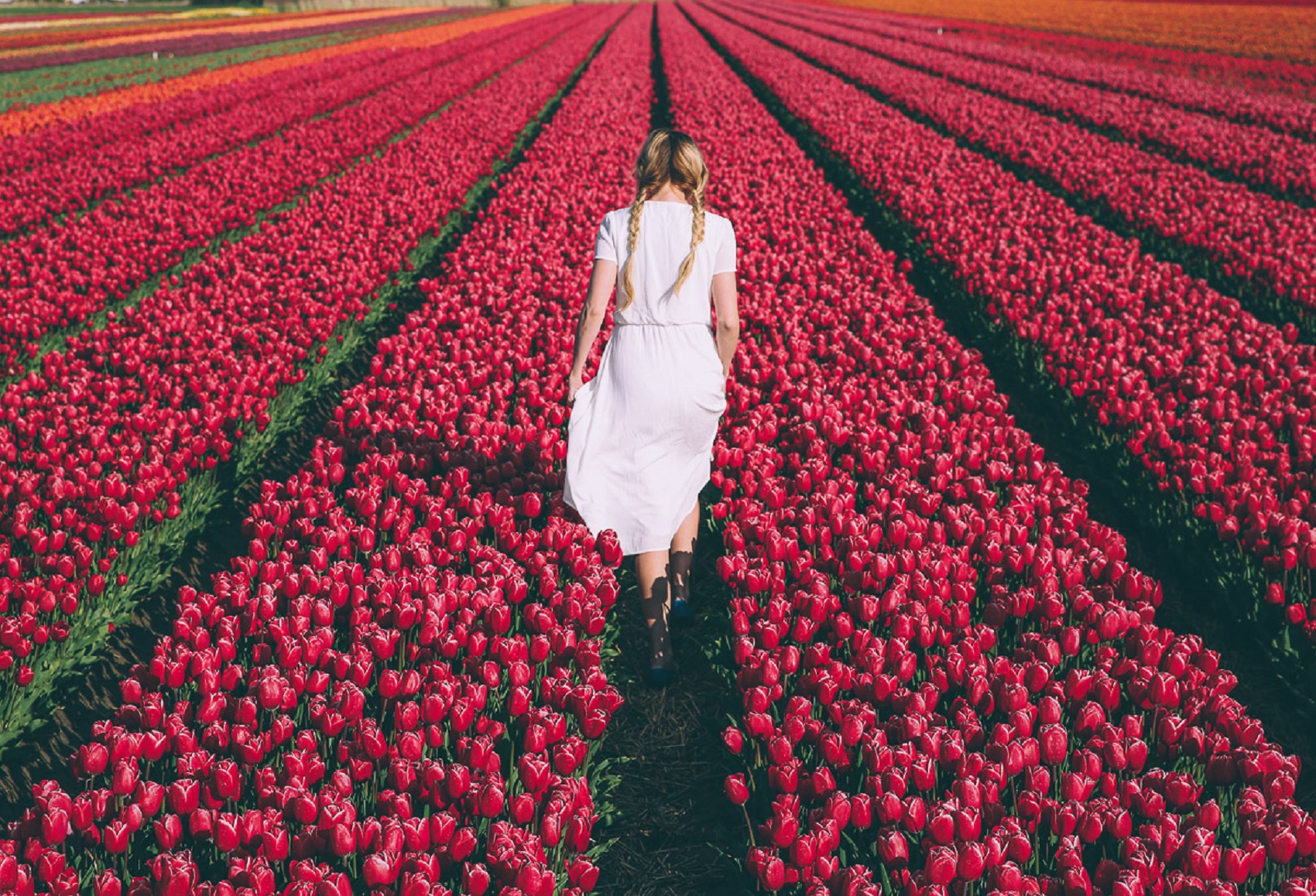 keukenhof-gardens