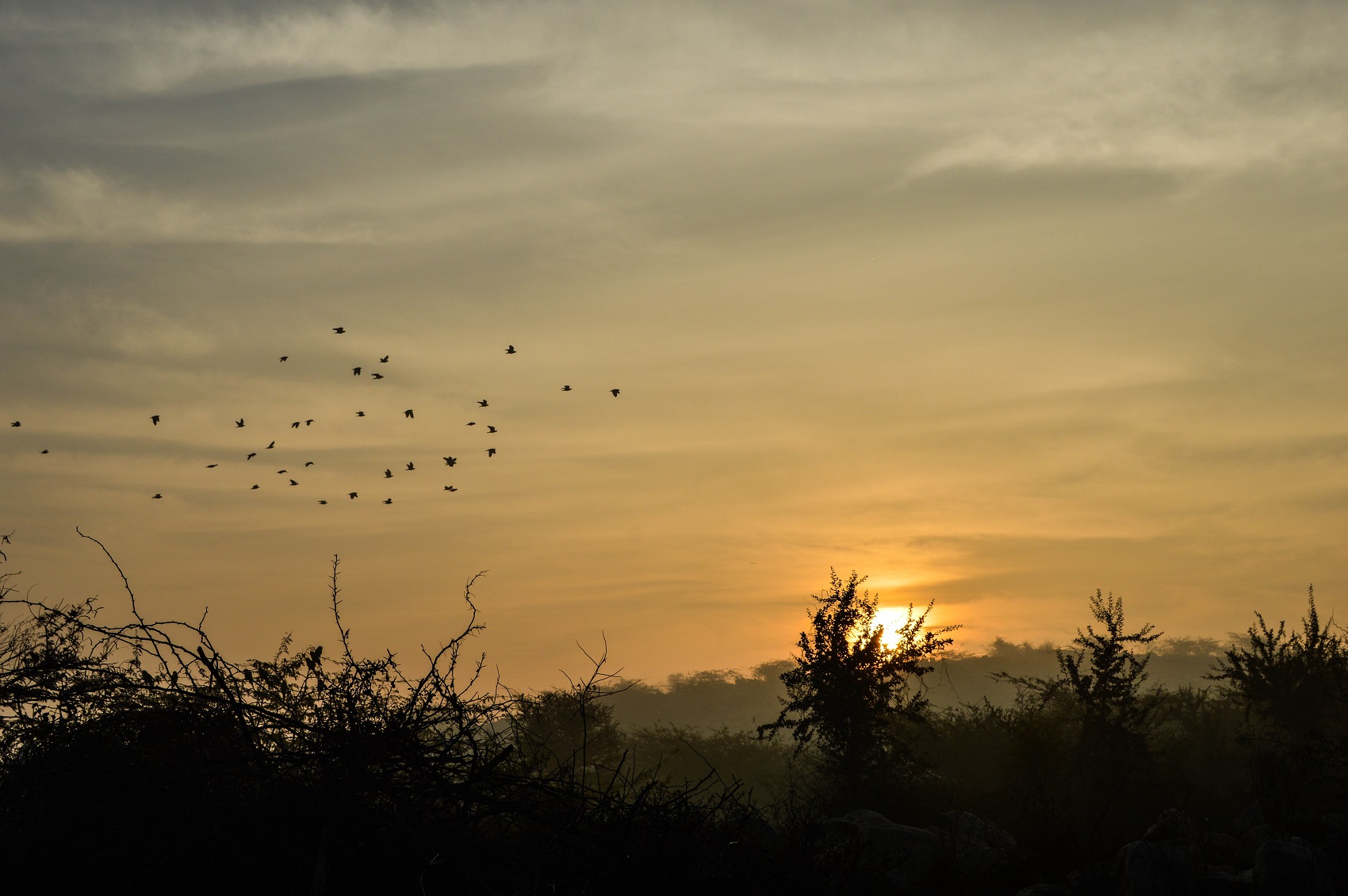 views-sunrise-at-isango-offsite