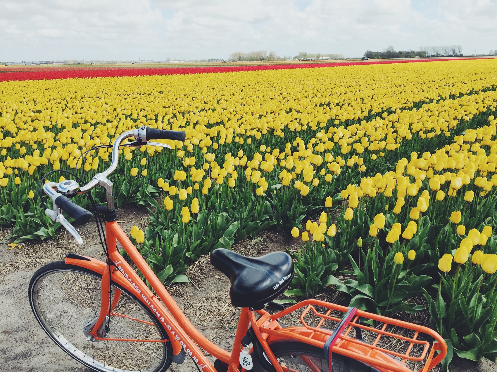 keukenhof-tours