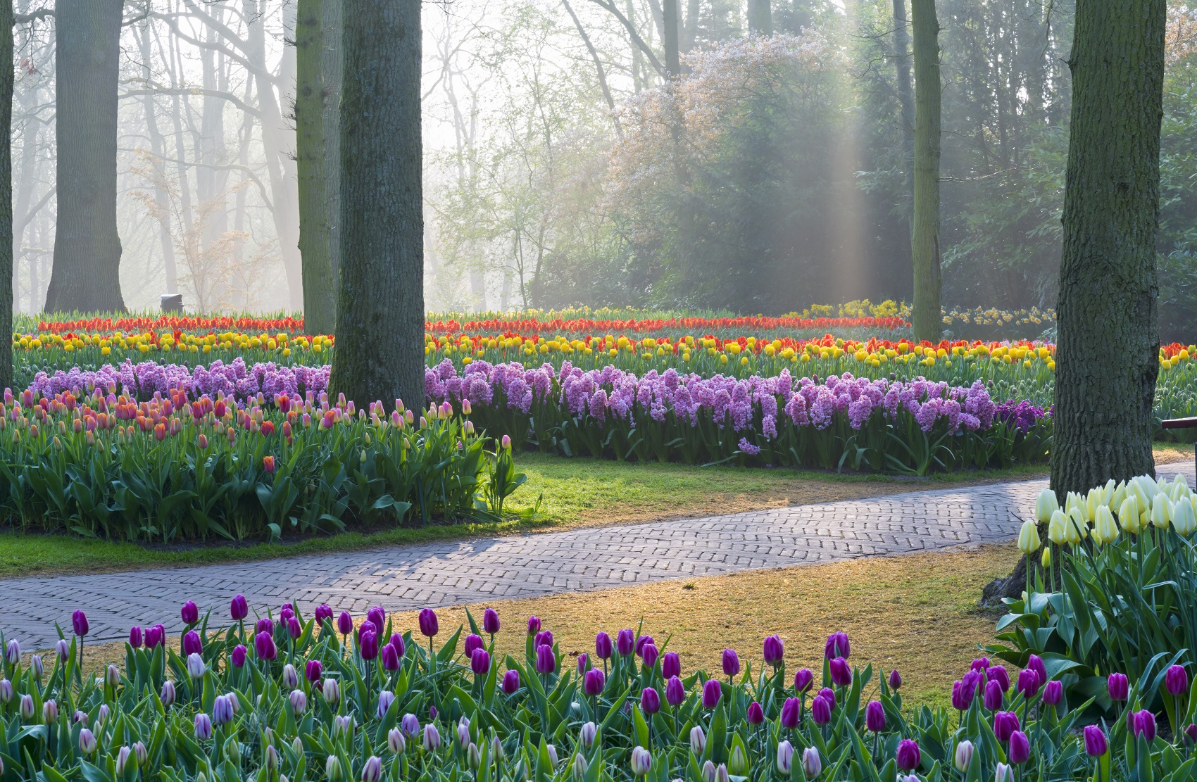 spring-garden-holland