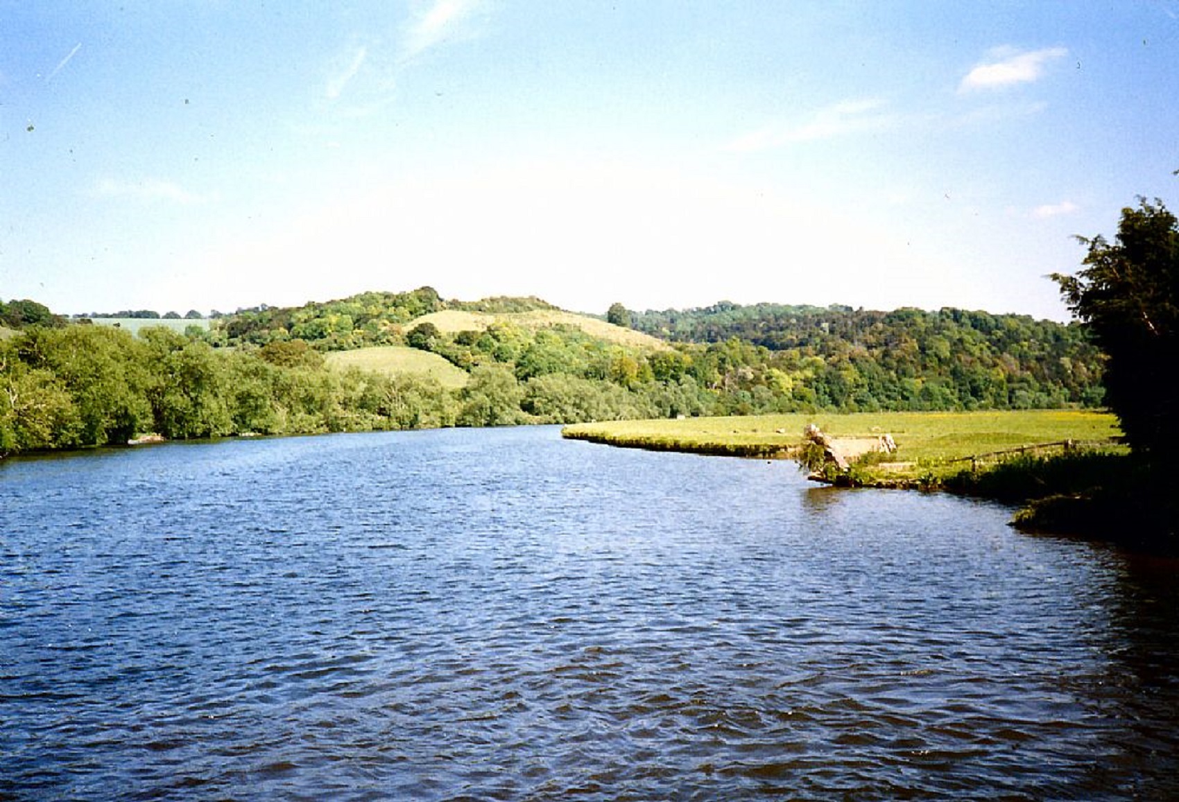 wild-swim-river-thames