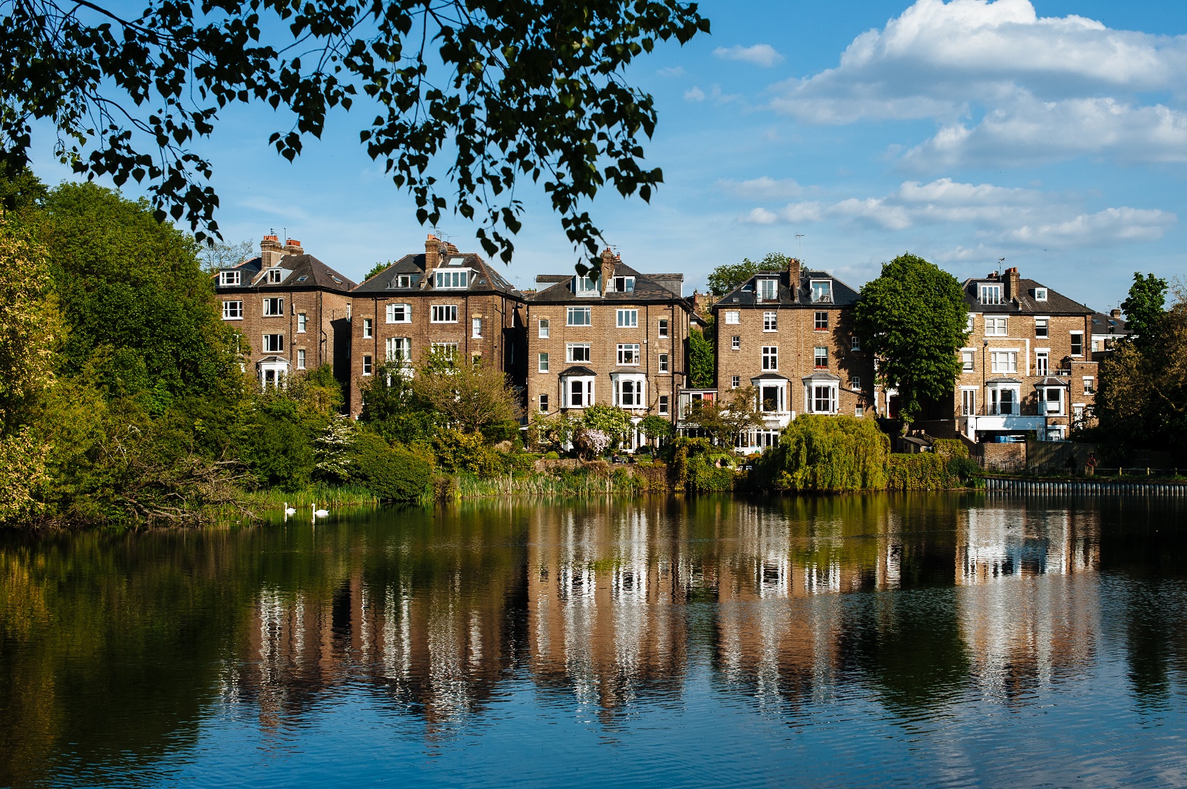 hampstead-heath-wild-swims