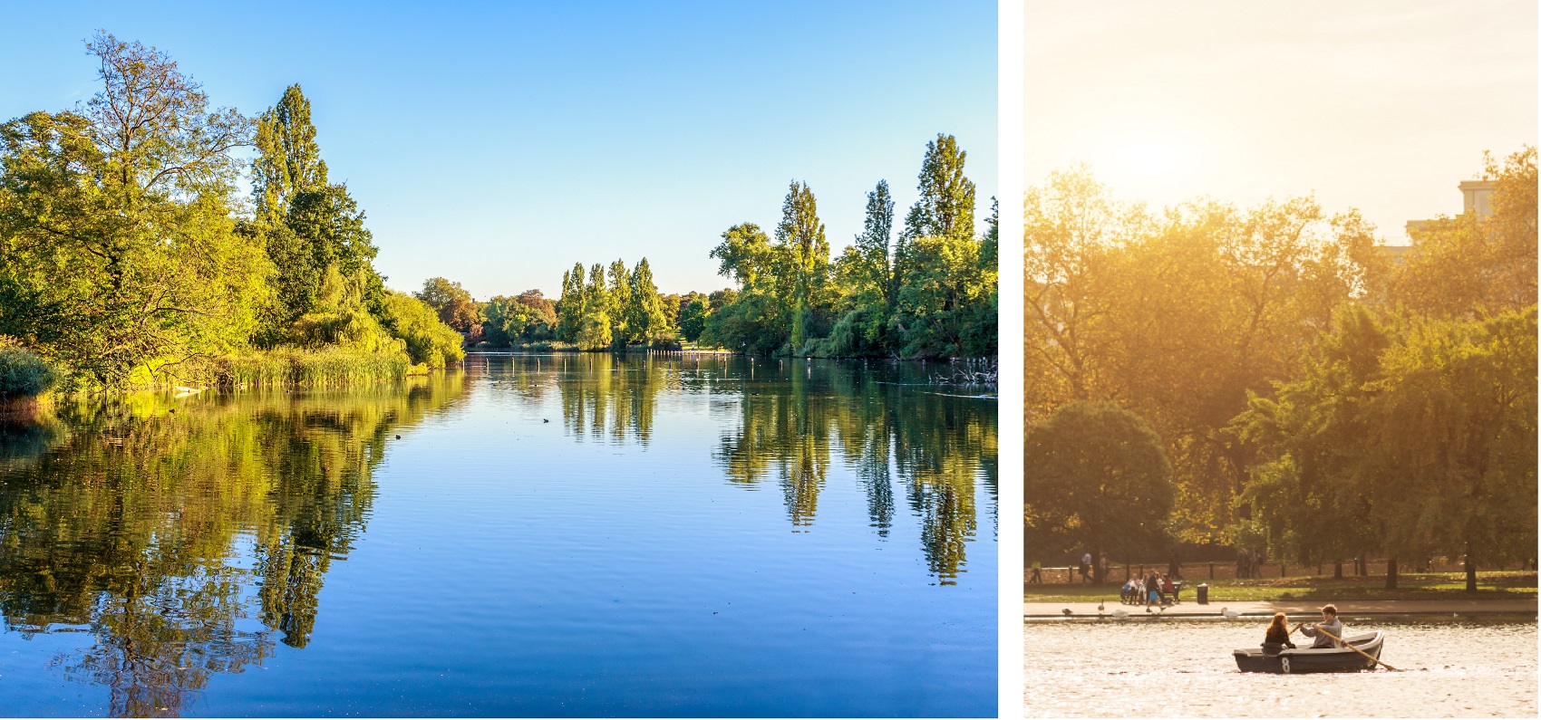 wild-swims-hyde-park