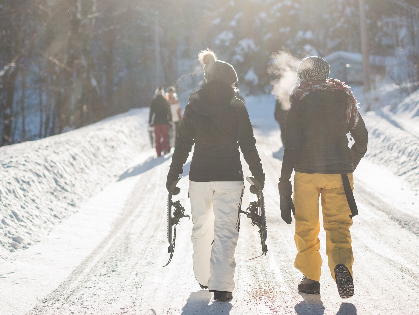 skiing-is-iceland