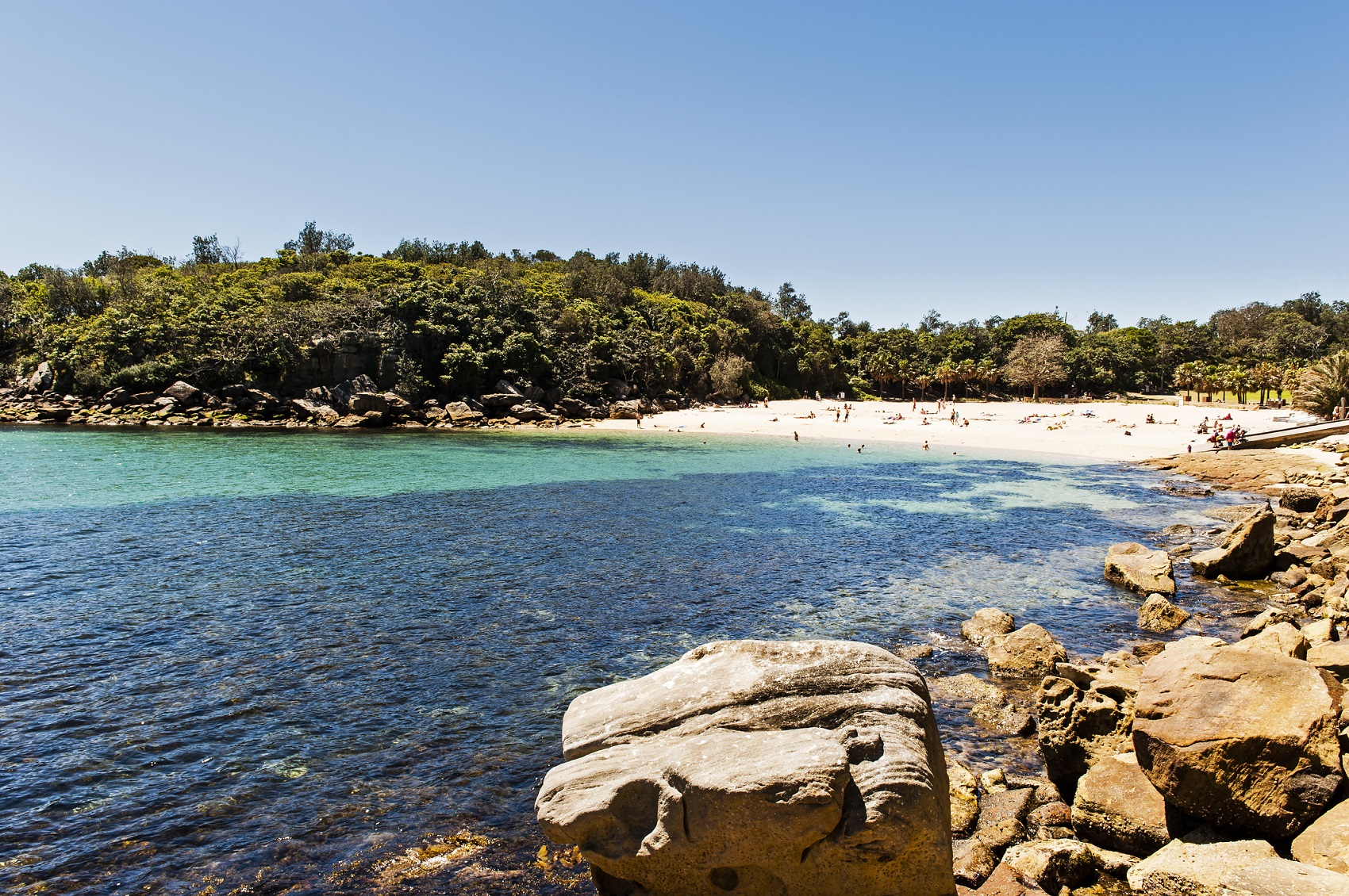 shelly-beach-manly-australia-scenic-tourism