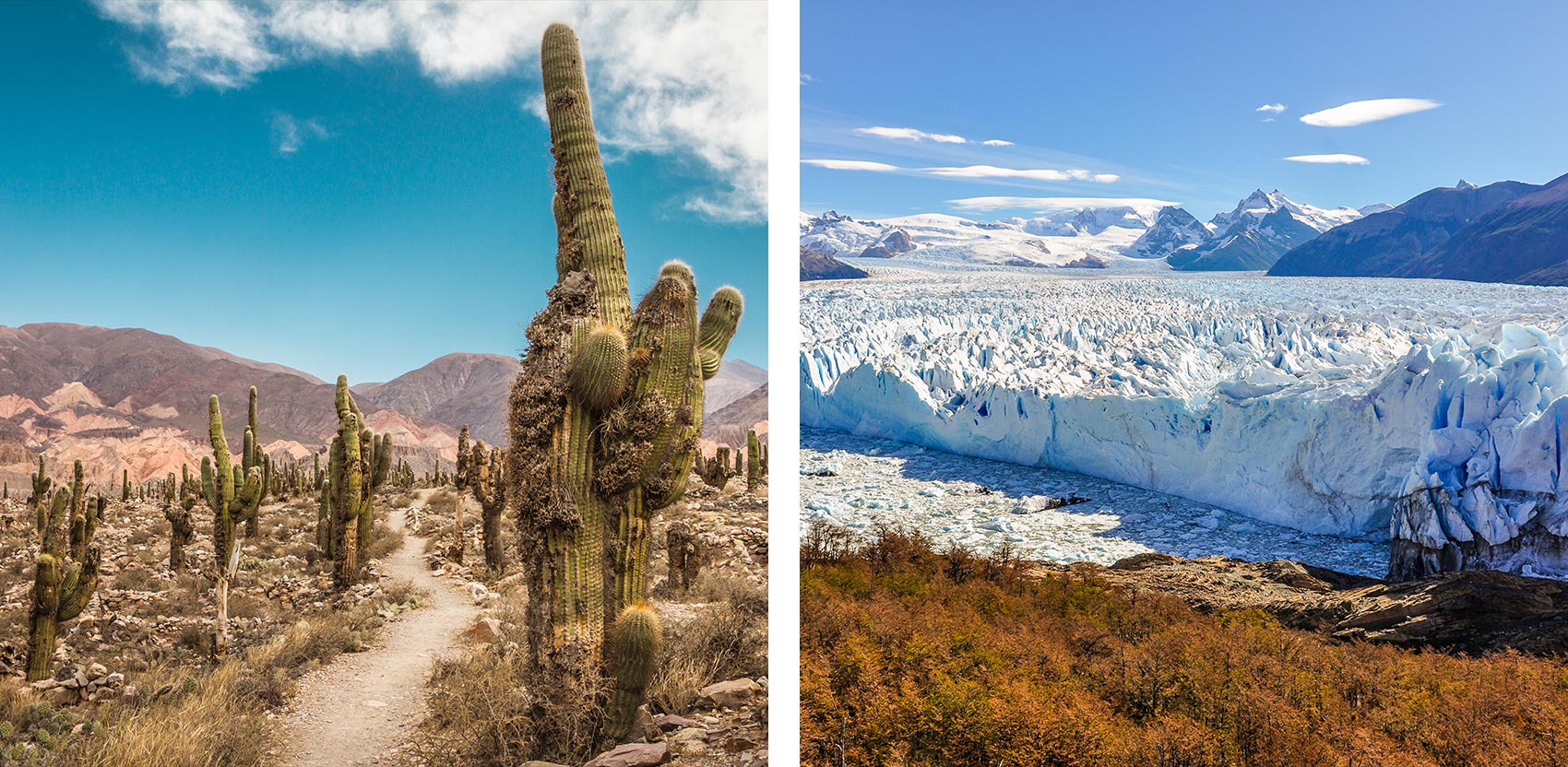 road-trip-argentina