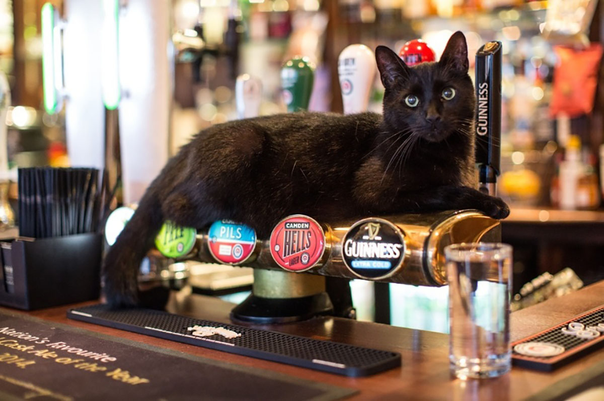 10 Things You Never Knew You Could Do In Bristol 10 Things You Never Knew You Could Do In Bristol