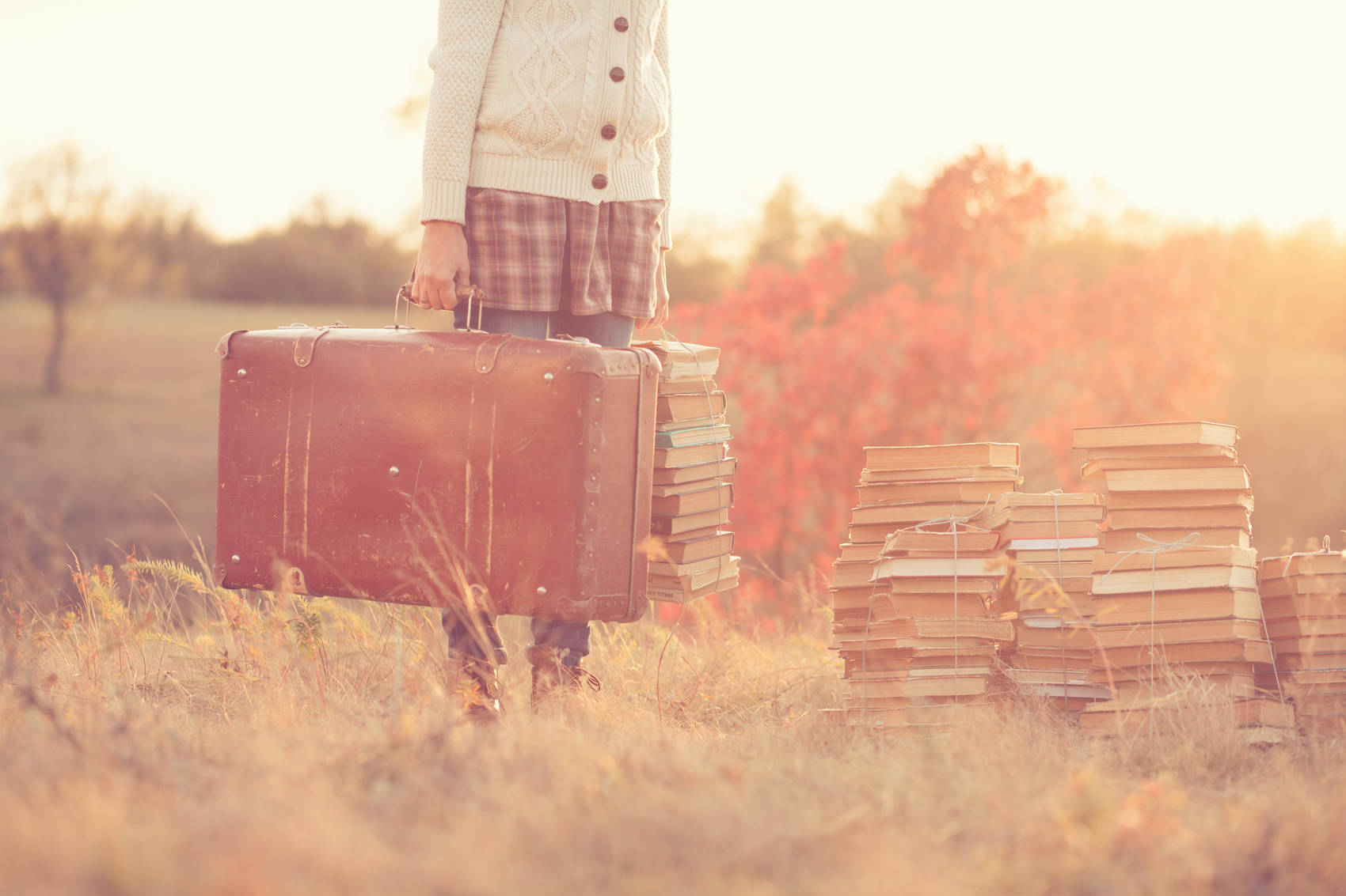 books-and-baggage