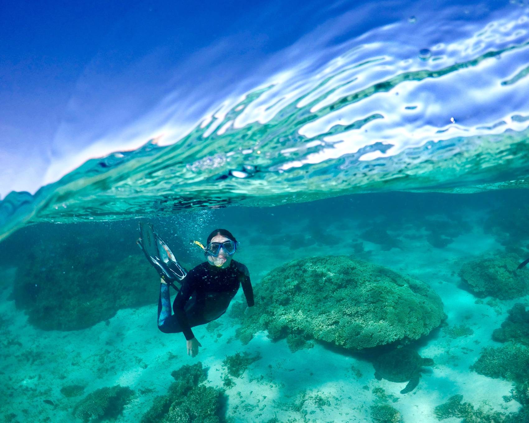 western-australia-coral-reef