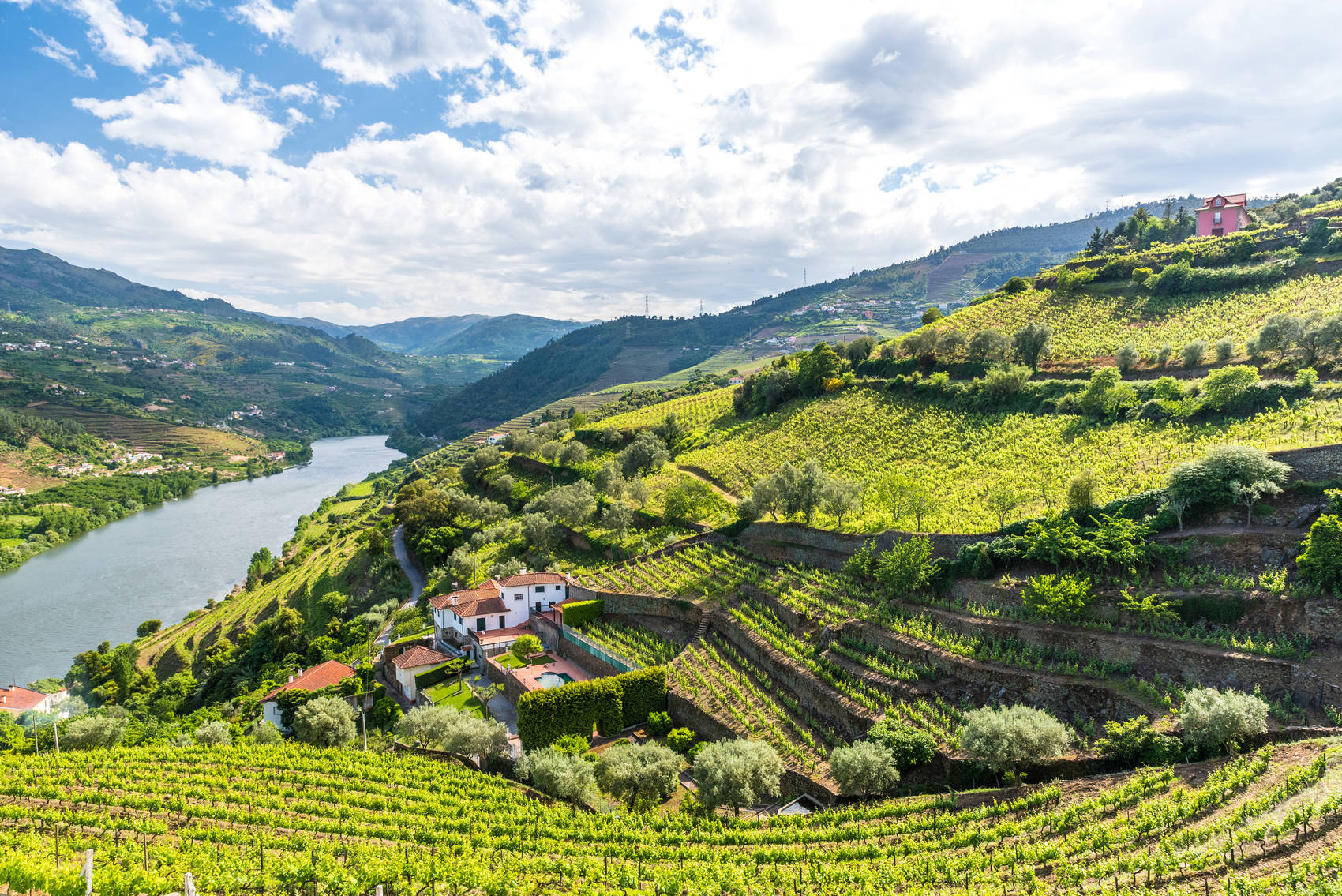 wine-regions-portugal