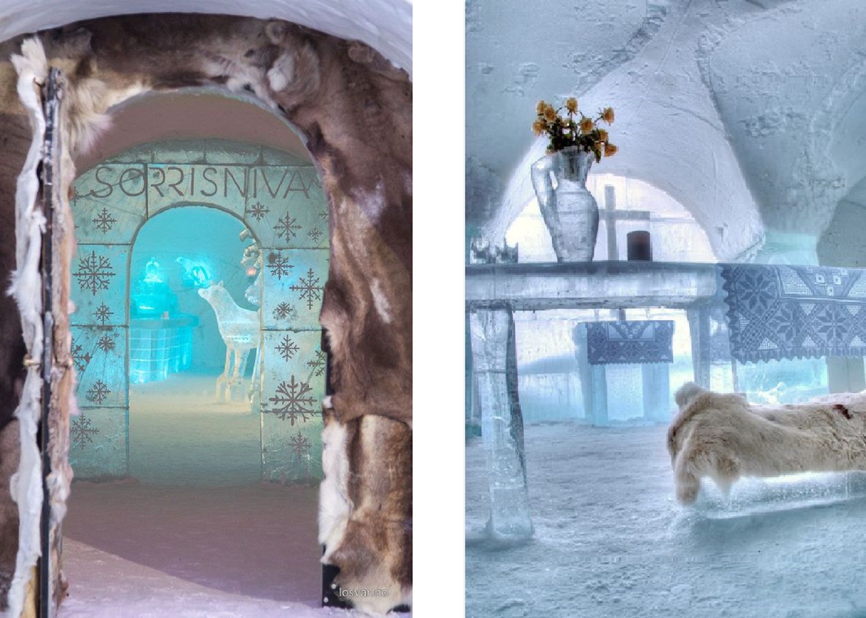 Interior-Hotel-Igloo