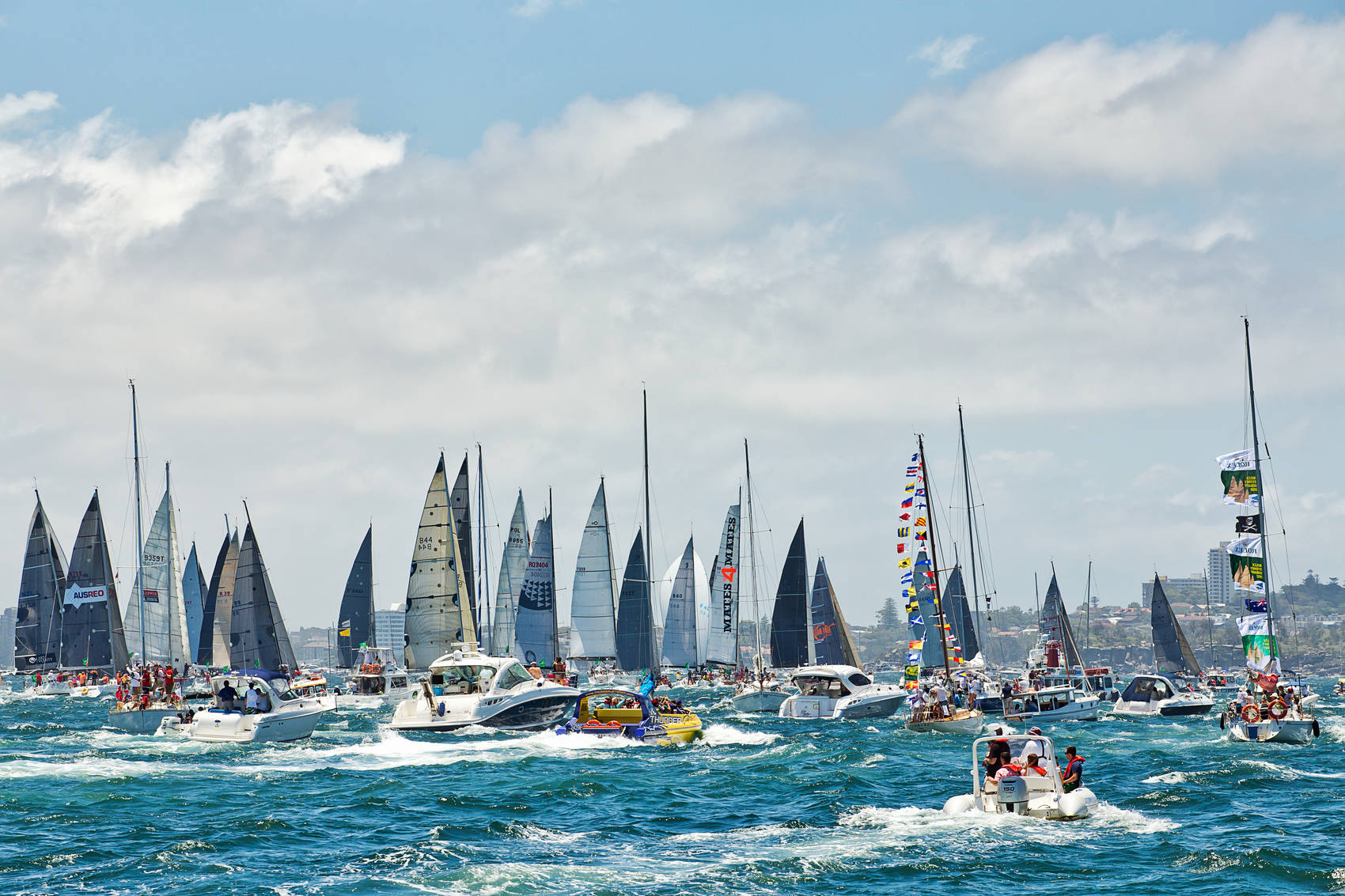 Sydney-experiences-yacht-race