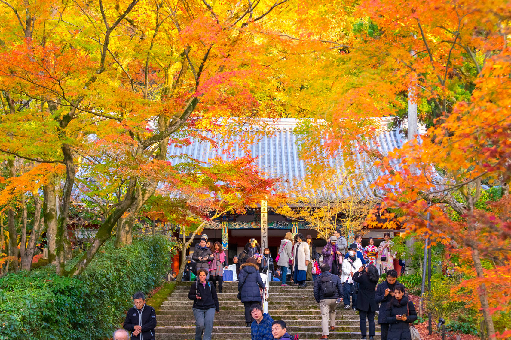 kyoto_autumn_japan