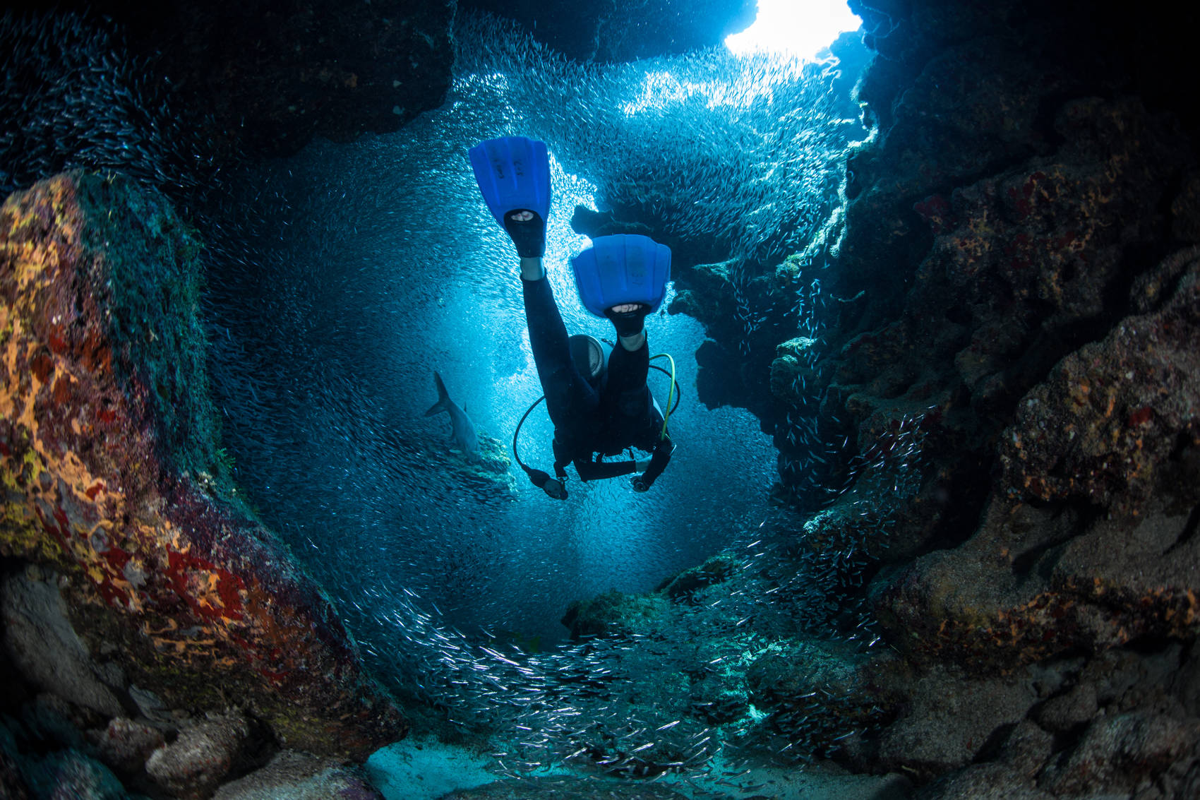 scuba-diving-Vietnam