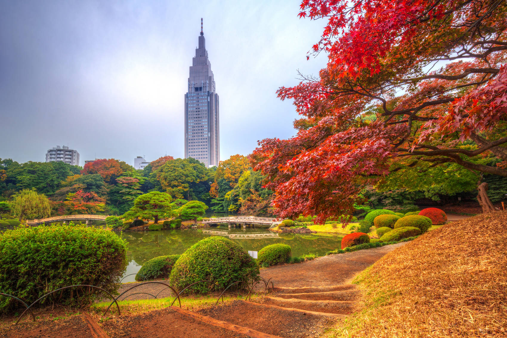 tokyo_park_autumn