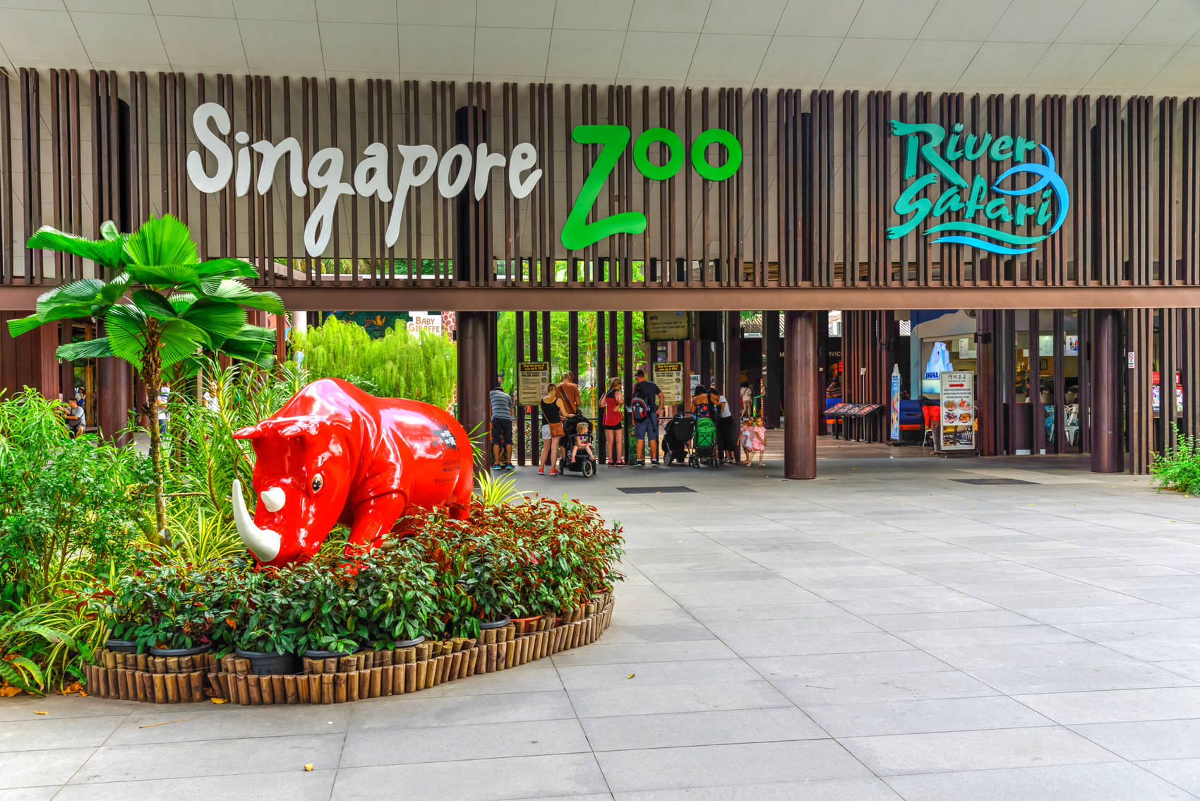 Singapore-zoo