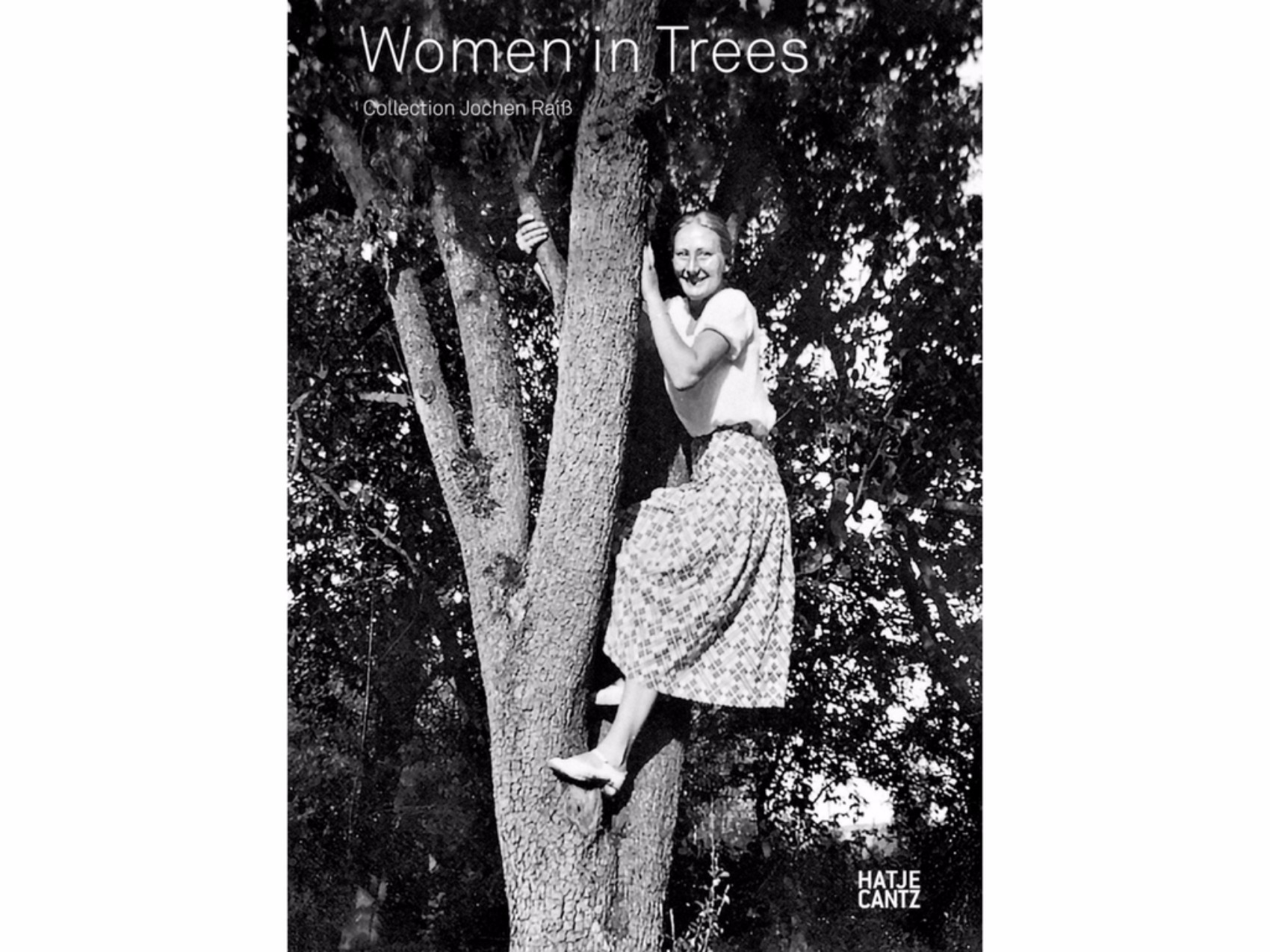 women in trees travel books