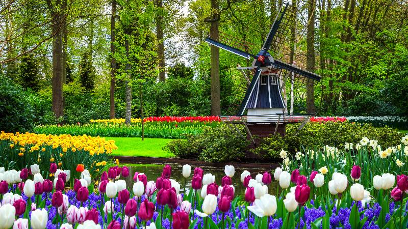 Keukenhof-Gärten