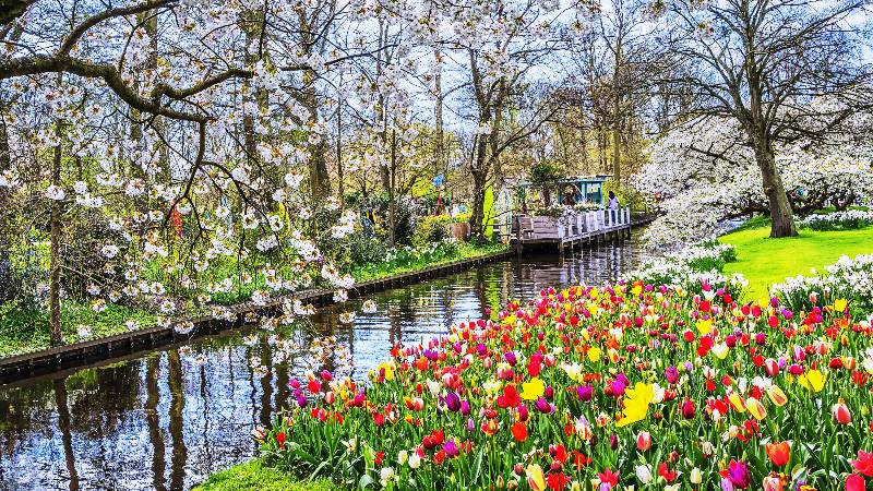 Keukenhof-Gärten 