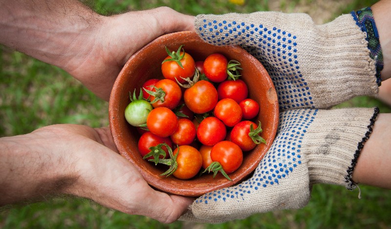 eat local sustainable