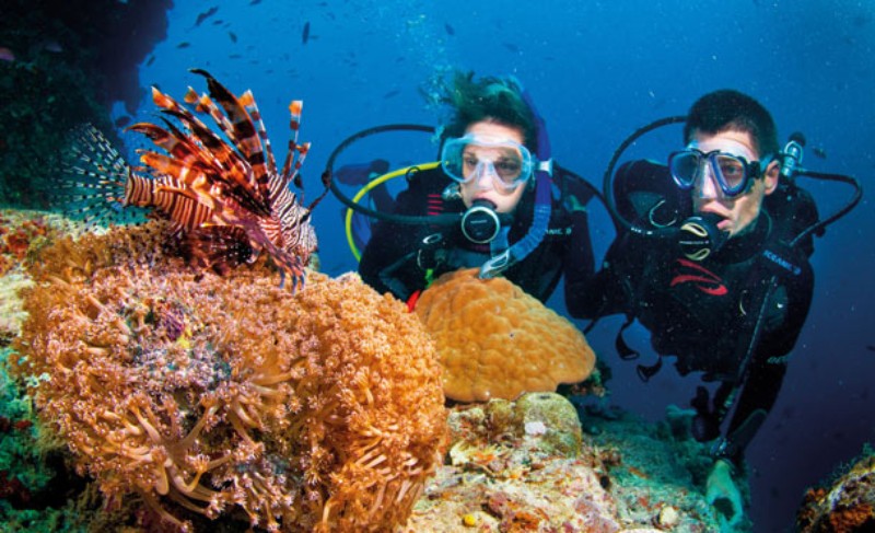 great barrier reef experience