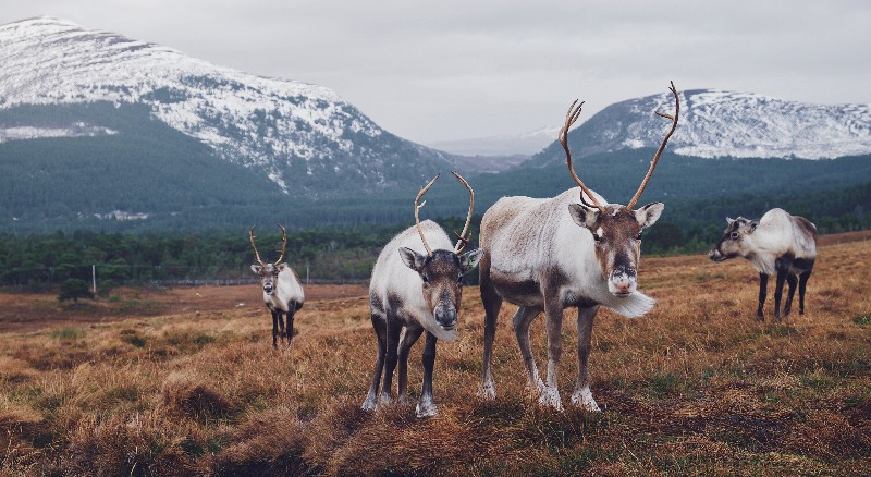 travel experience scotland national parks