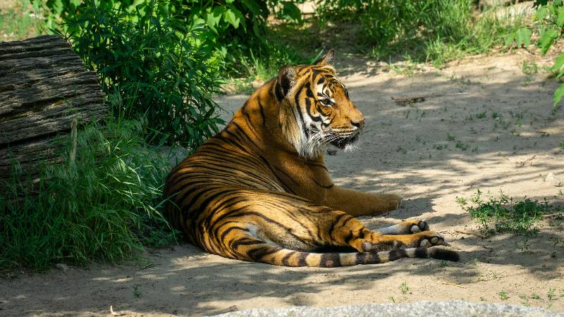 Berlin-on-a-budget-tierpark