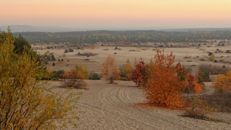 Poland-desert-landscape