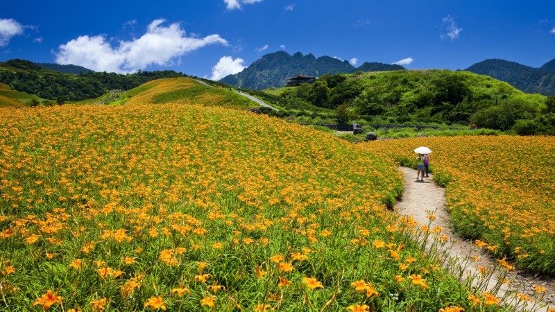 Taiwan-naturaleza