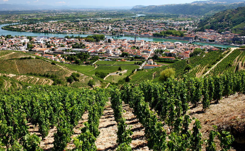 top-best places for wine tasting-world-rhone-valley