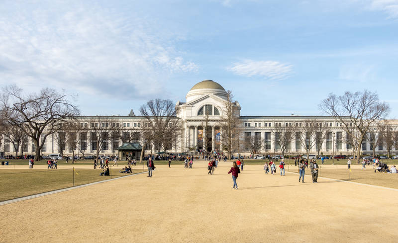 top-best-washington d.c. museums-natural history