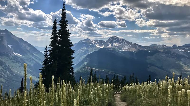 Glacier-National-Park-Highline-Trail