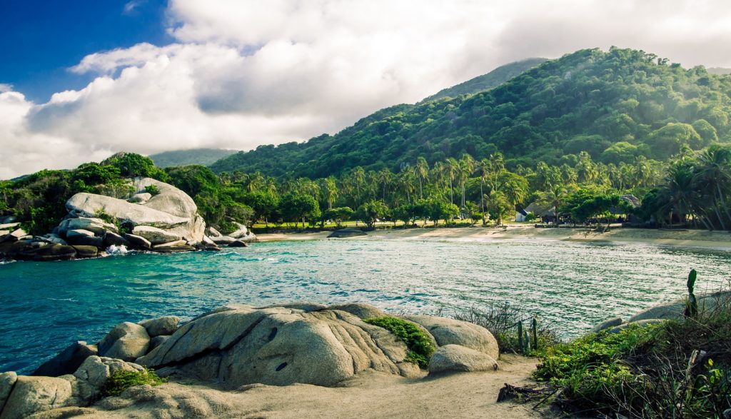 view on jungle at park national tayrona