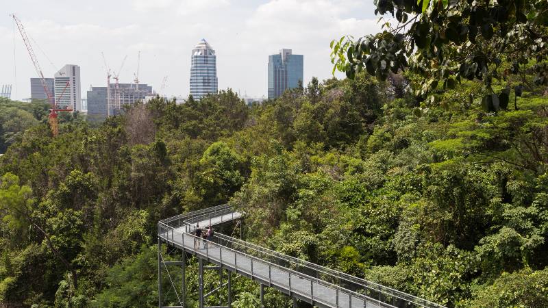 Orte-Singapur- Southern Ridges