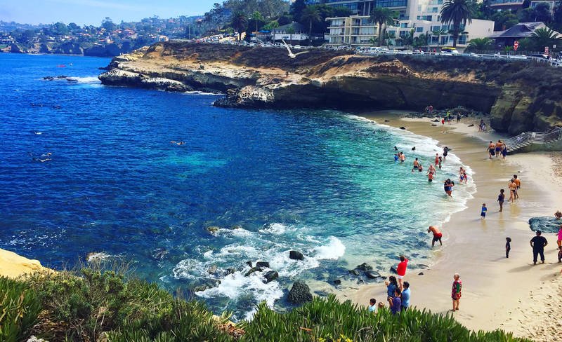 top-best beaches in the united states-la jolla-cove