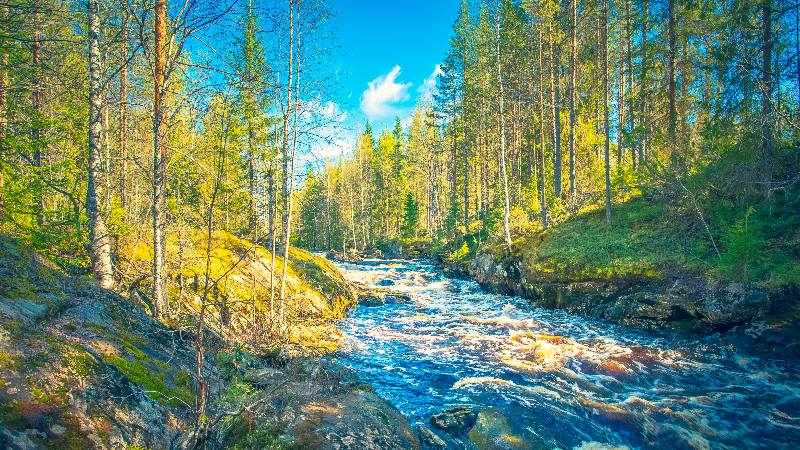 Lapland-Spring