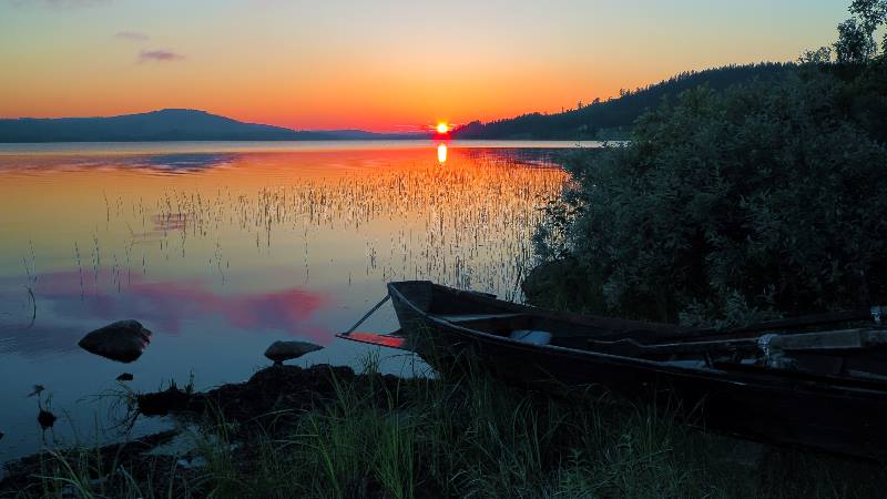 Lapland-Summer-nights