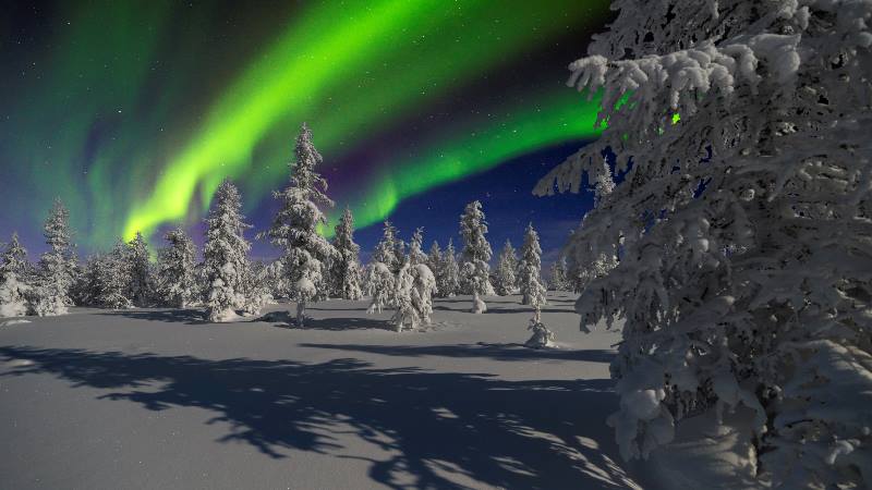 Lapland-Winter-Magic 