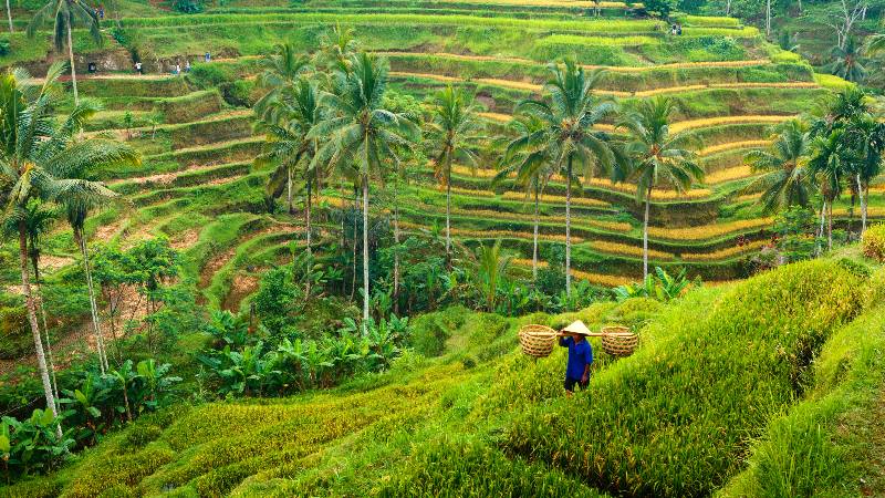 Ubud