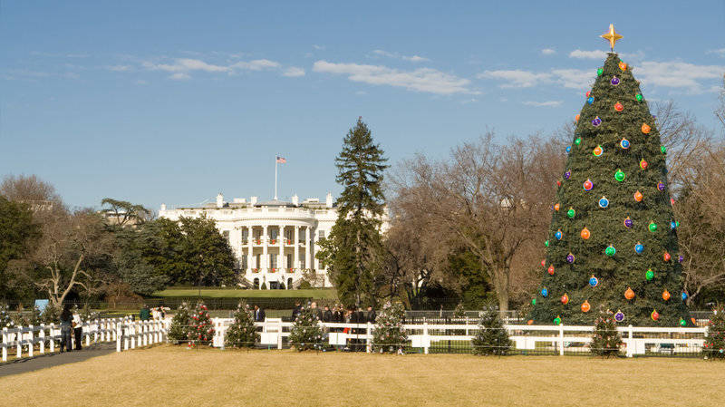 best-winter events in washington, d.c.-lighting-national-christmas-tree