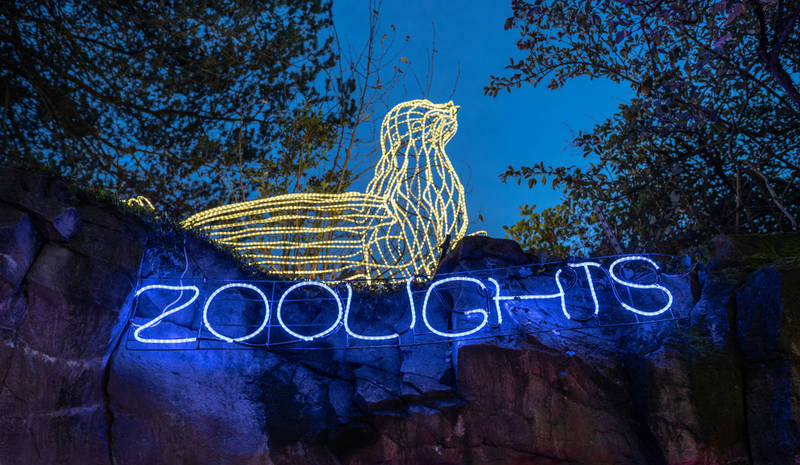 best-winter events in washington, d.c.-zoolights