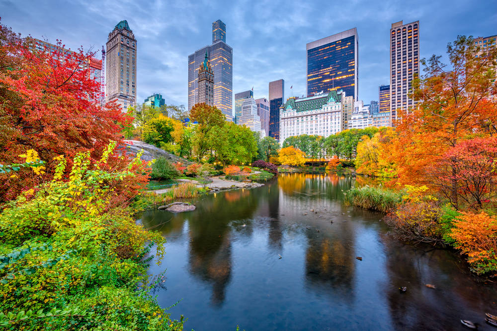 The Top 5 Best Fall Events In New York The 2019 Edition
