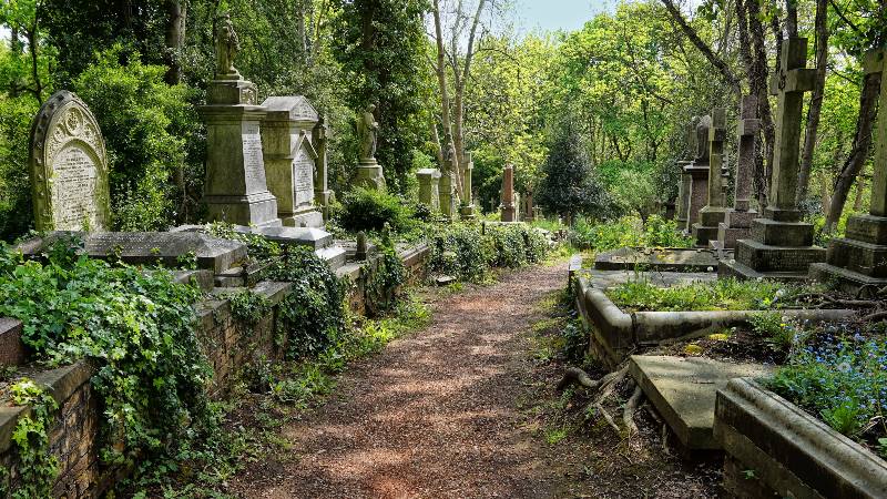 Graves-in-the-East-cemetery-of-Highgate-Cemetery-immersive-experience - Halloween Celebration