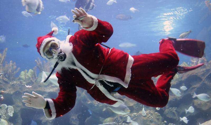 top-winter events in los angeles-aquarium-holidays