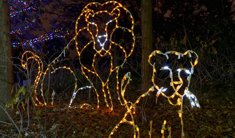 top-winter events in los angeles-l.a.-zoo-lights