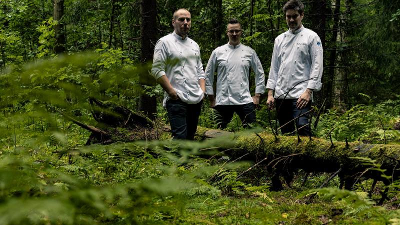 Three-chefs-of-the-restaurant-standing-in-the-woods